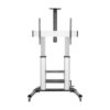 Soporte de Suelo Inclinable con Ruedas y Manivela Aisens FT100TE-125 para TV 60-100"/ hasta 100kg